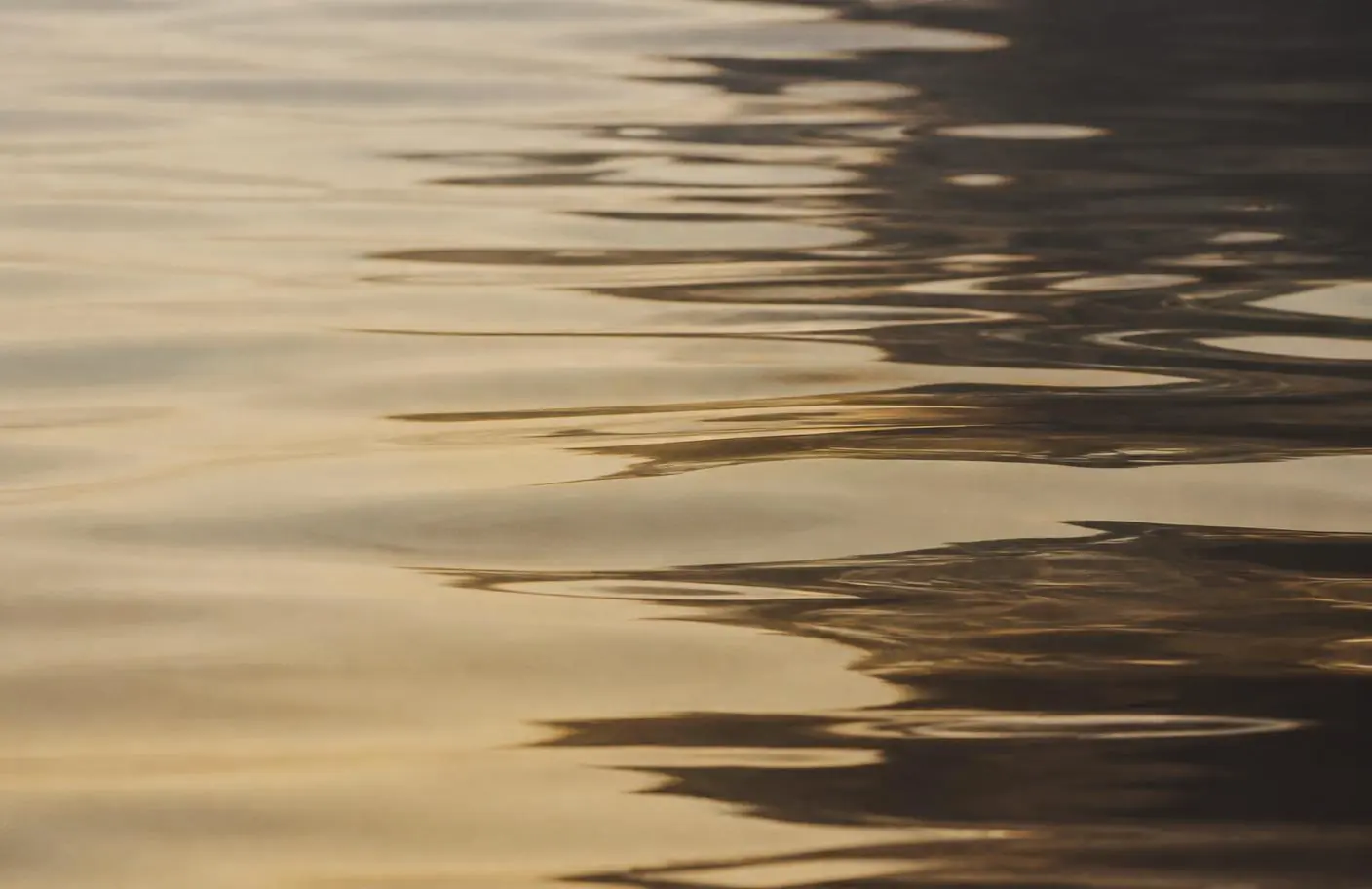 Ruhige Wasseroberfläche im warmen Abendlicht
